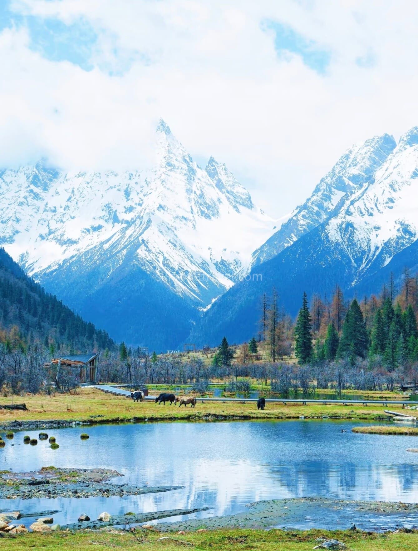 shuangqiaogou-valley