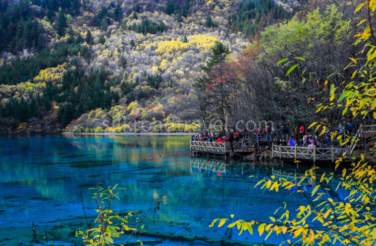 five-flower-lake