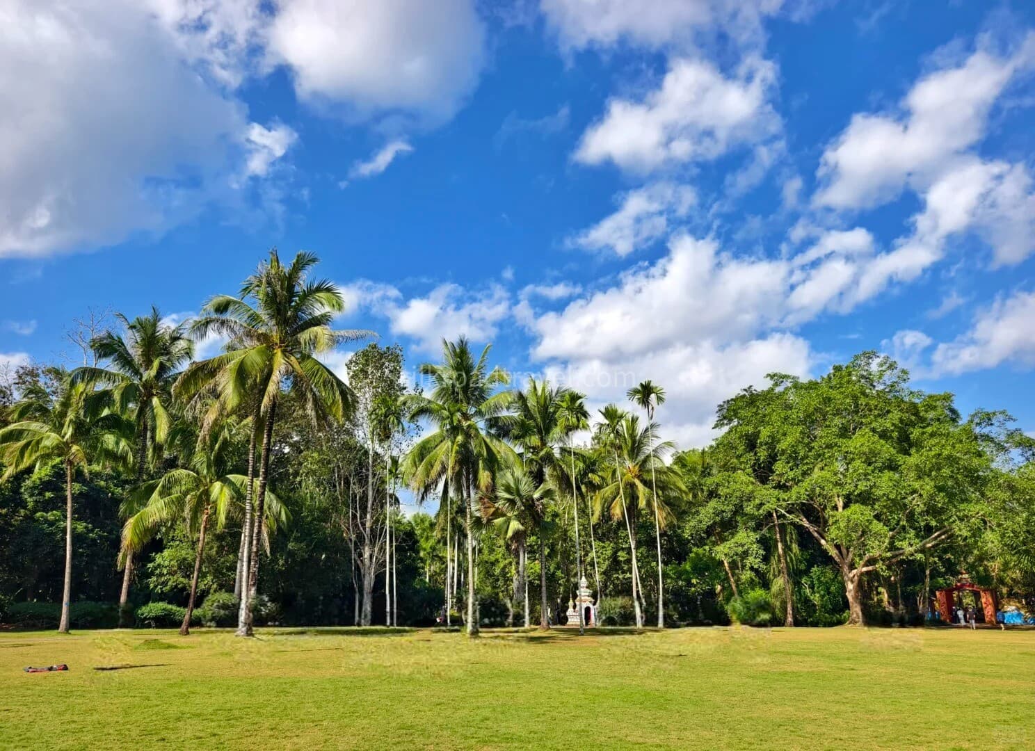 xishuangbanna-tropical-botanical-garden-5