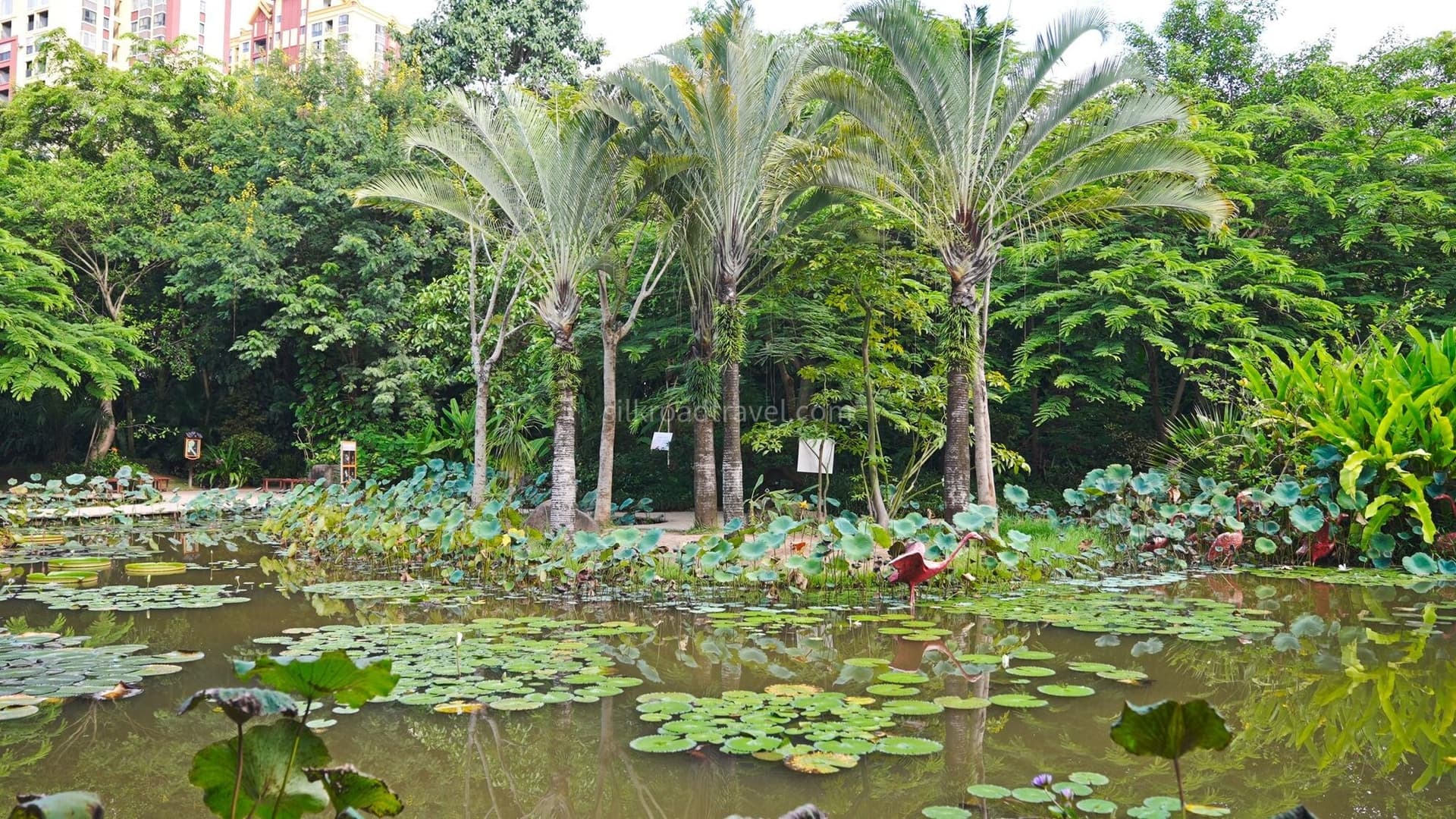 manting-park-1
