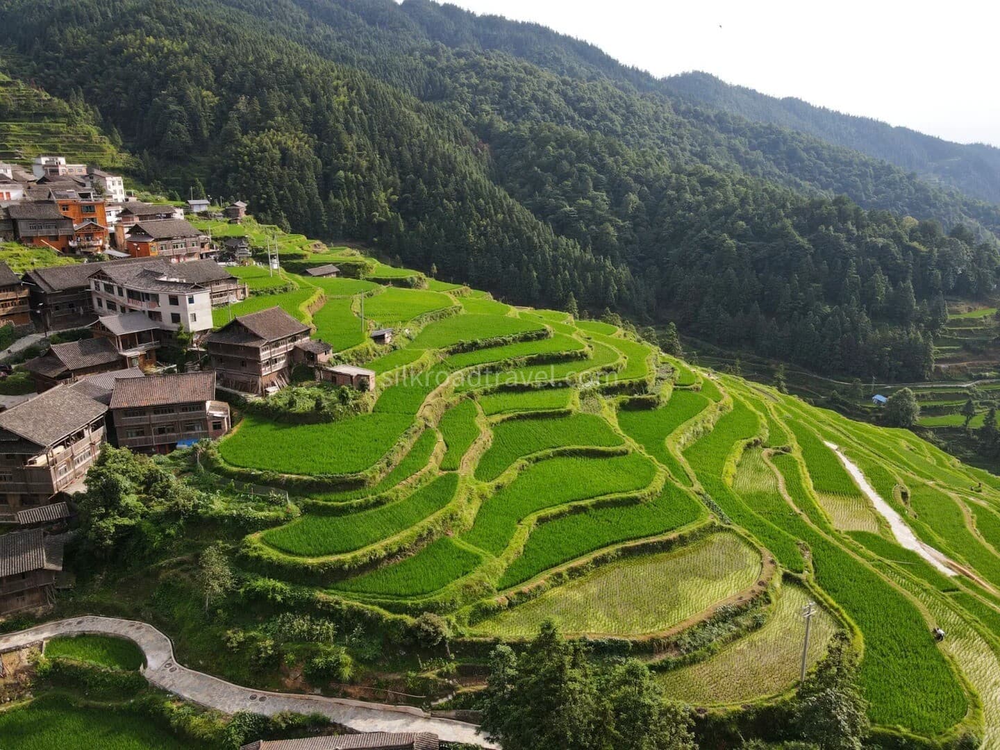 rice-terraces rice-terraces