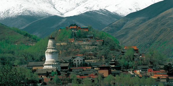 great-white-pagoda great-white-pagoda