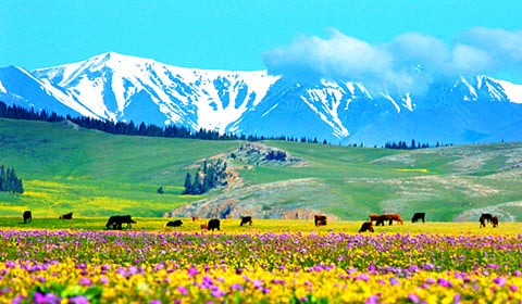 7-days-northern-xinjiang-tour