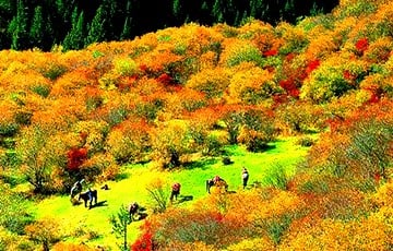 4-days-natural-scenery-adventure-tour