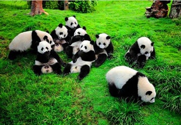 5-days-western-sichuan-adventure-tour