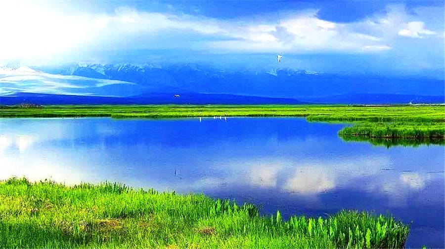 bayinbuluk