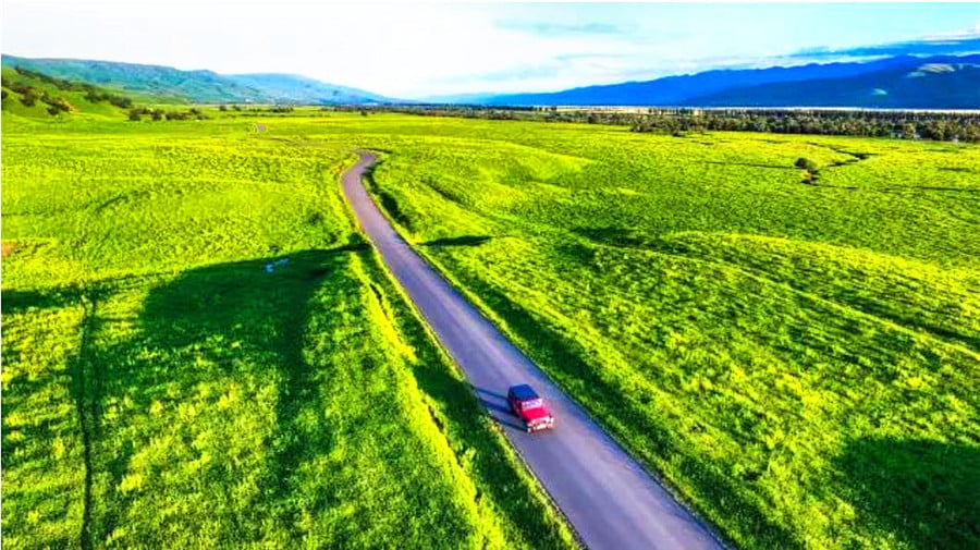 duku-highway
