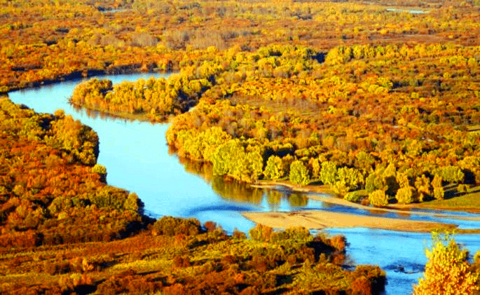 eerguna-wetland