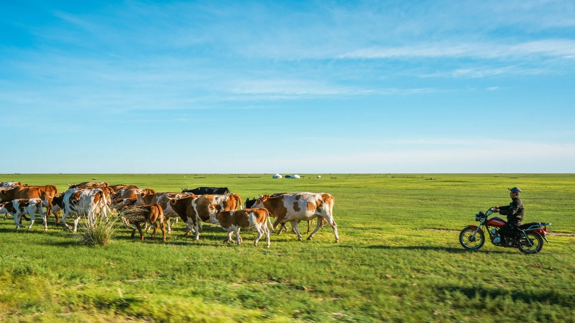 inner-mongolia