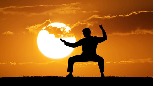 Chinese Kungfu 3.jpg Chinese Kungfu 3.jpg
