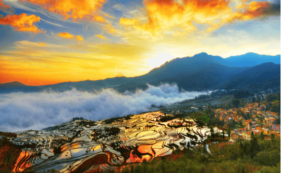 Yunnan website.png Yunnan website.png