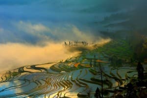 the-yuanyang-terraces the-yuanyang-terraces