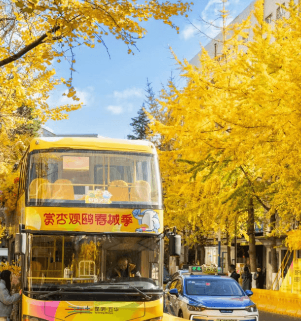 a-practical-yunnan-muslim-tour-travel-guide a-practical-yunnan-muslim-tour-travel-guide