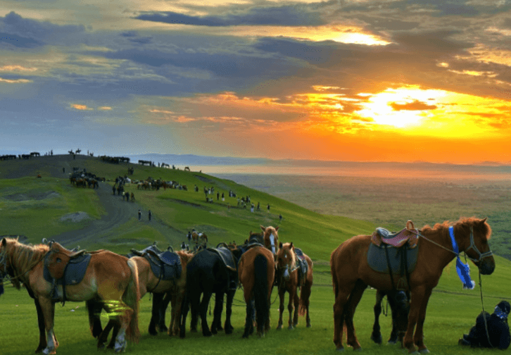 heishantou-grassland heishantou-grassland