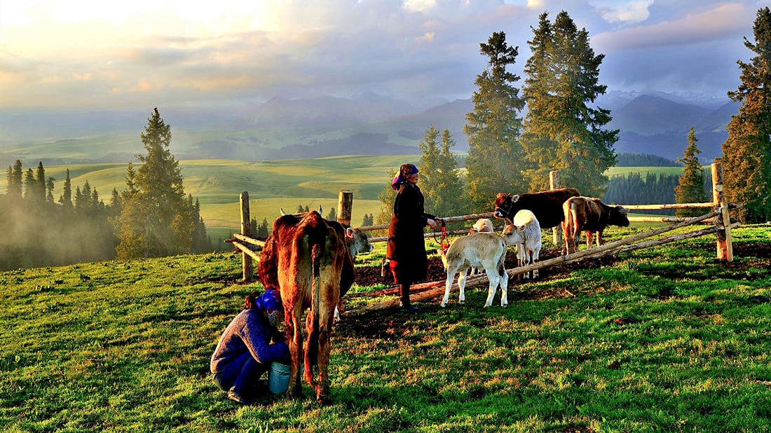 20-days-silk-road-to-uzbekistan-kyrgyzstan-china 20-days-silk-road-to-uzbekistan-kyrgyzstan-china