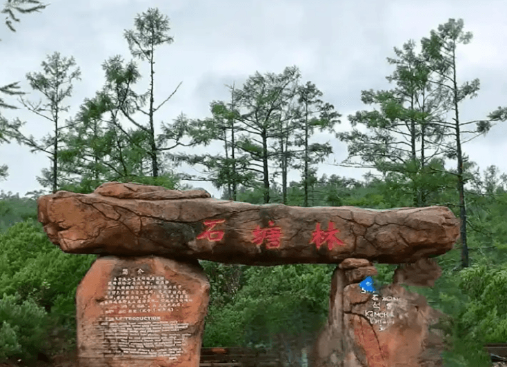 stone-forest stone-forest