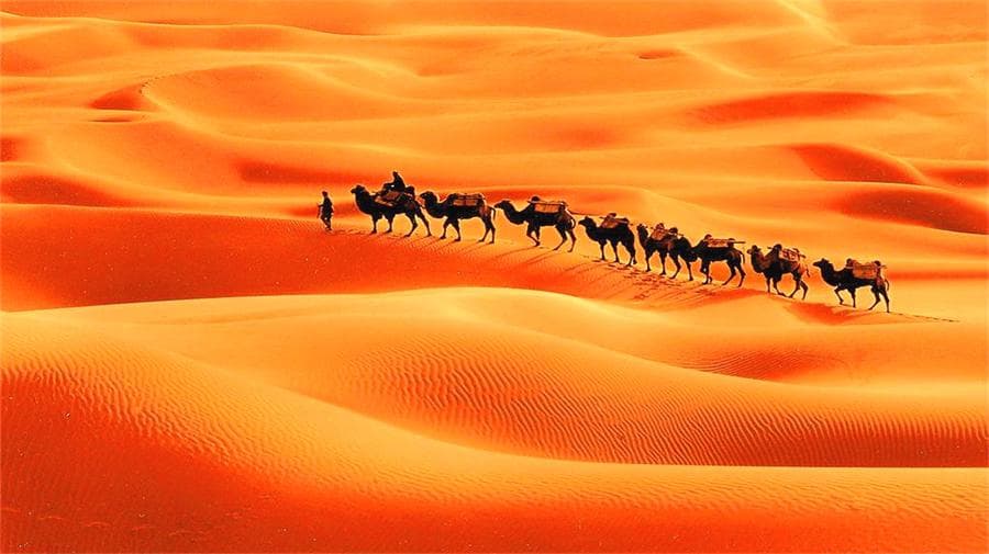 dawakun-desert dawakun-desert