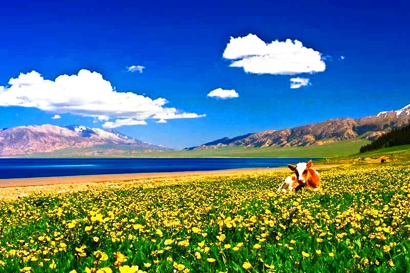 sayram-lake sayram-lake