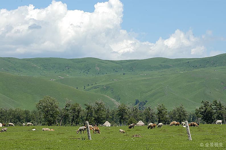 naraty-grassland-1 naraty-grassland-1