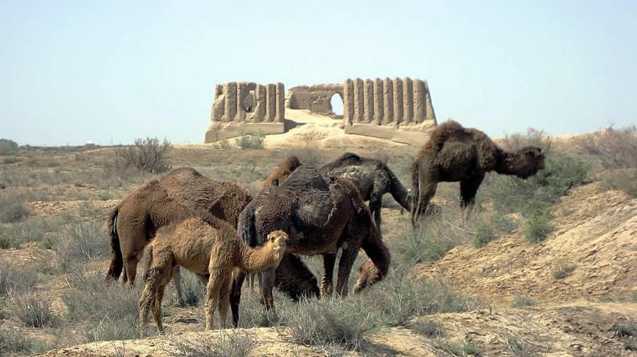 ancient-city-of-merv ancient-city-of-merv