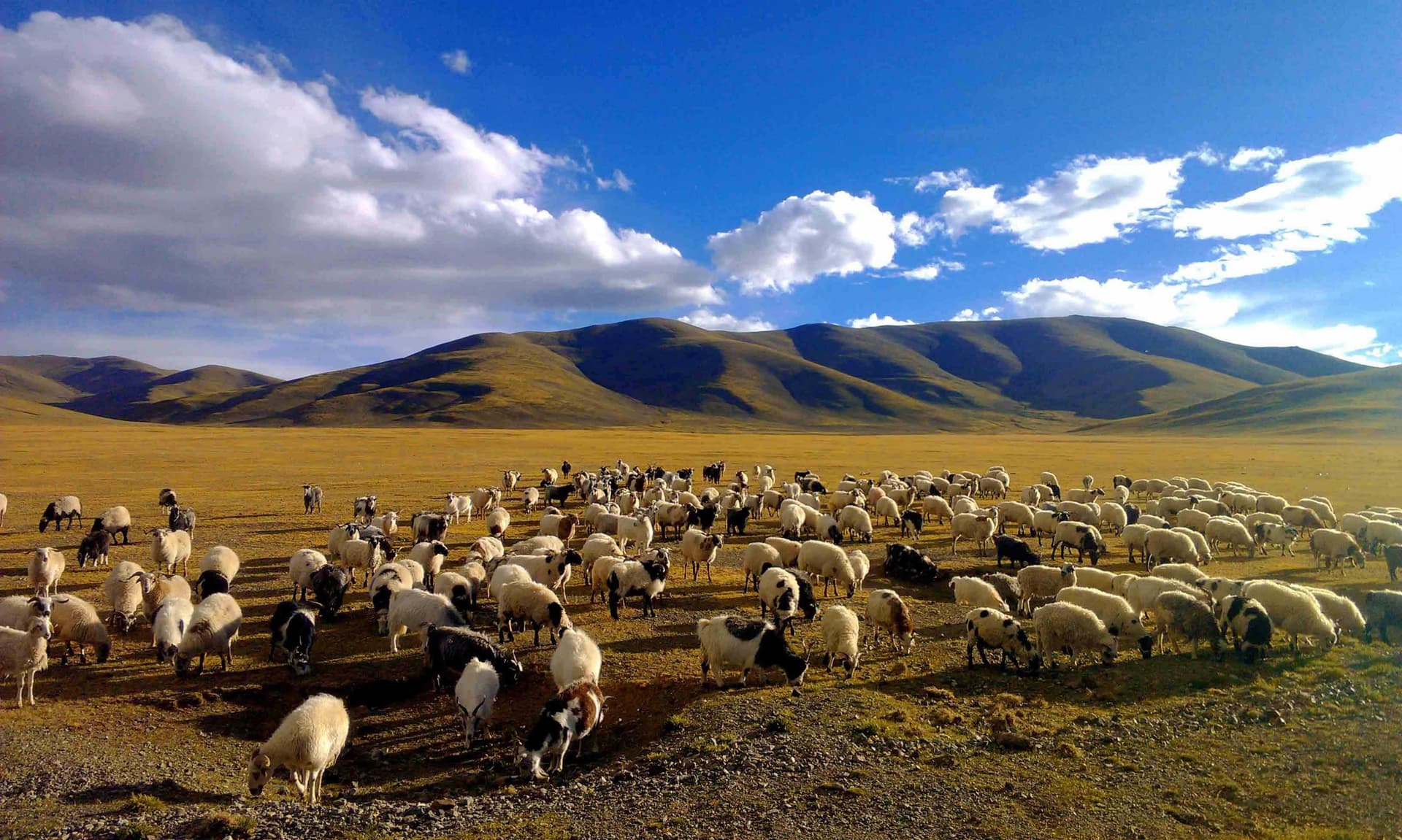 urumqi-nanshan urumqi-nanshan