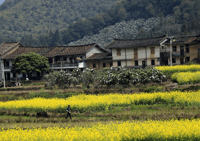 aobing-village aobing-village