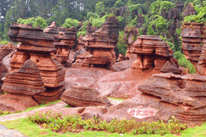 red-stone-forest red-stone-forest