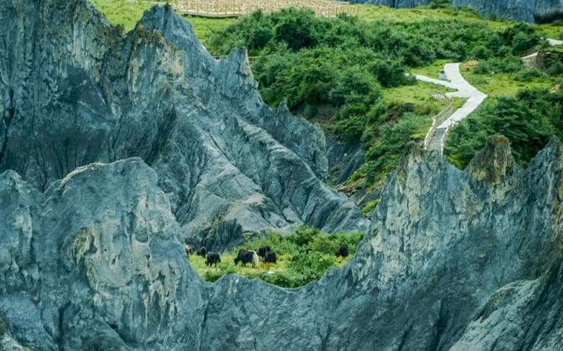moshi-geopark moshi-geopark