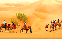 silk-road-tour-from-singapore silk-road-tour-from-singapore