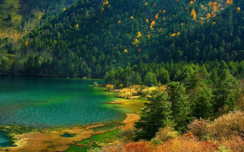 mugecuo-scenic-spot-2 mugecuo-scenic-spot-2