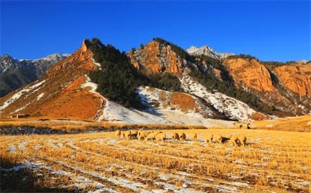 zhangye-travel-tips zhangye-travel-tips