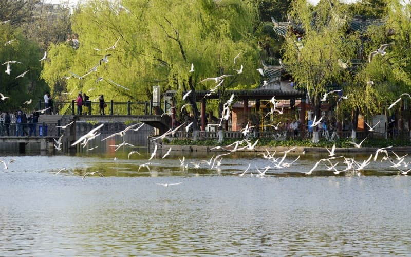 green-lake-park green-lake-park