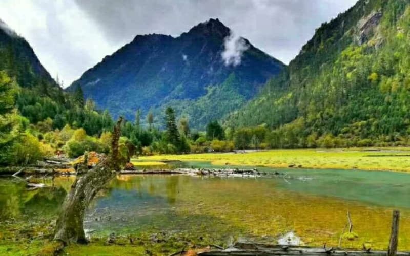 lotus-lake-scenic-spot-2 lotus-lake-scenic-spot-2