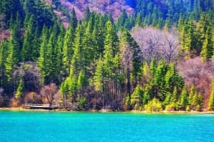 when-is-the-best-time-to-travel-to-sichuan when-is-the-best-time-to-travel-to-sichuan
