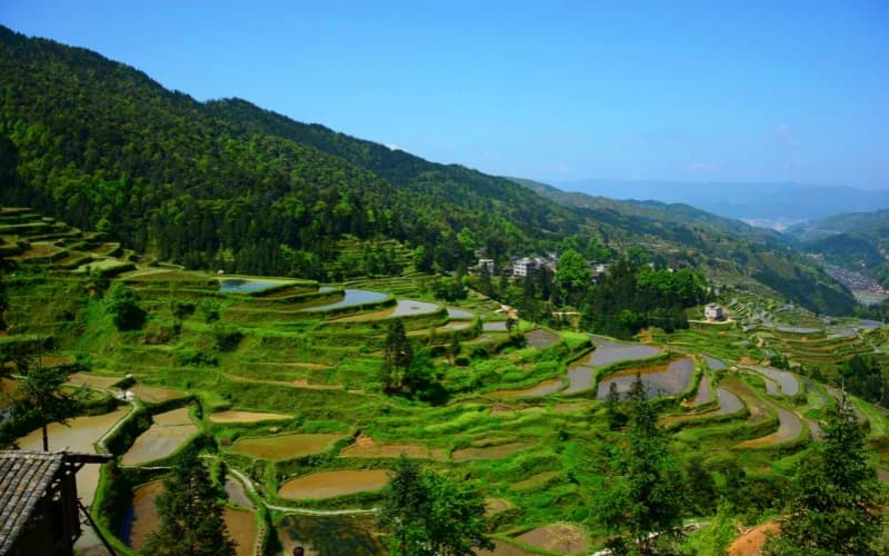 tang-an-terraces tang-an-terraces