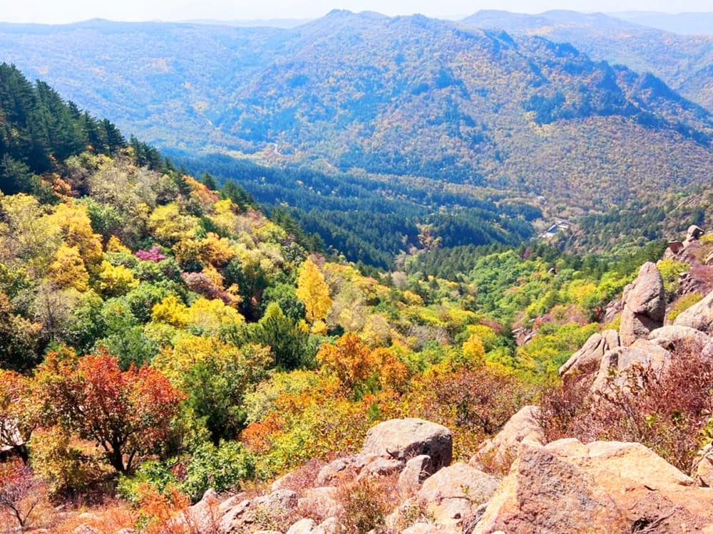 national-forest-park national-forest-park