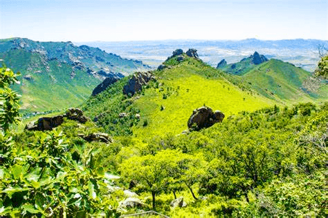 qingshan-geo-region qingshan-geo-region