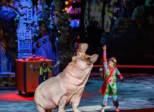 chimelong-international-circus chimelong-international-circus