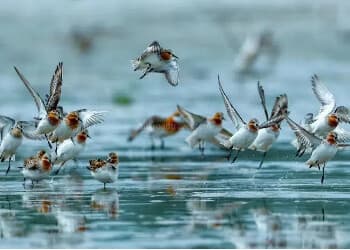 dayang-bay-ecological-tourism-zone-2 dayang-bay-ecological-tourism-zone-2