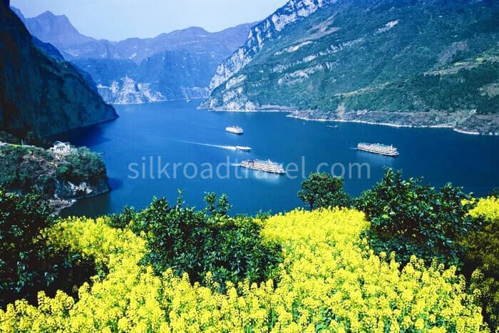 8-days-chongqing-shennongjia-chongqing-yangtze-river-cruise-yangzi-explorer 8-days-chongqing-shennongjia-chongqing-yangtze-river-cruise-yangzi-explorer
