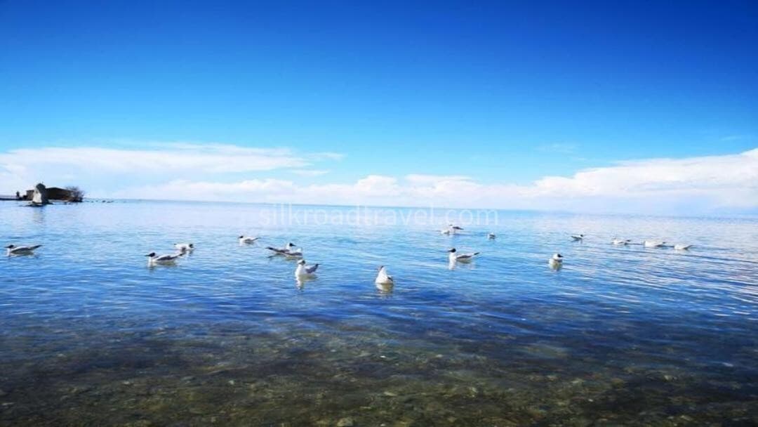 qinghai-lake qinghai-lake