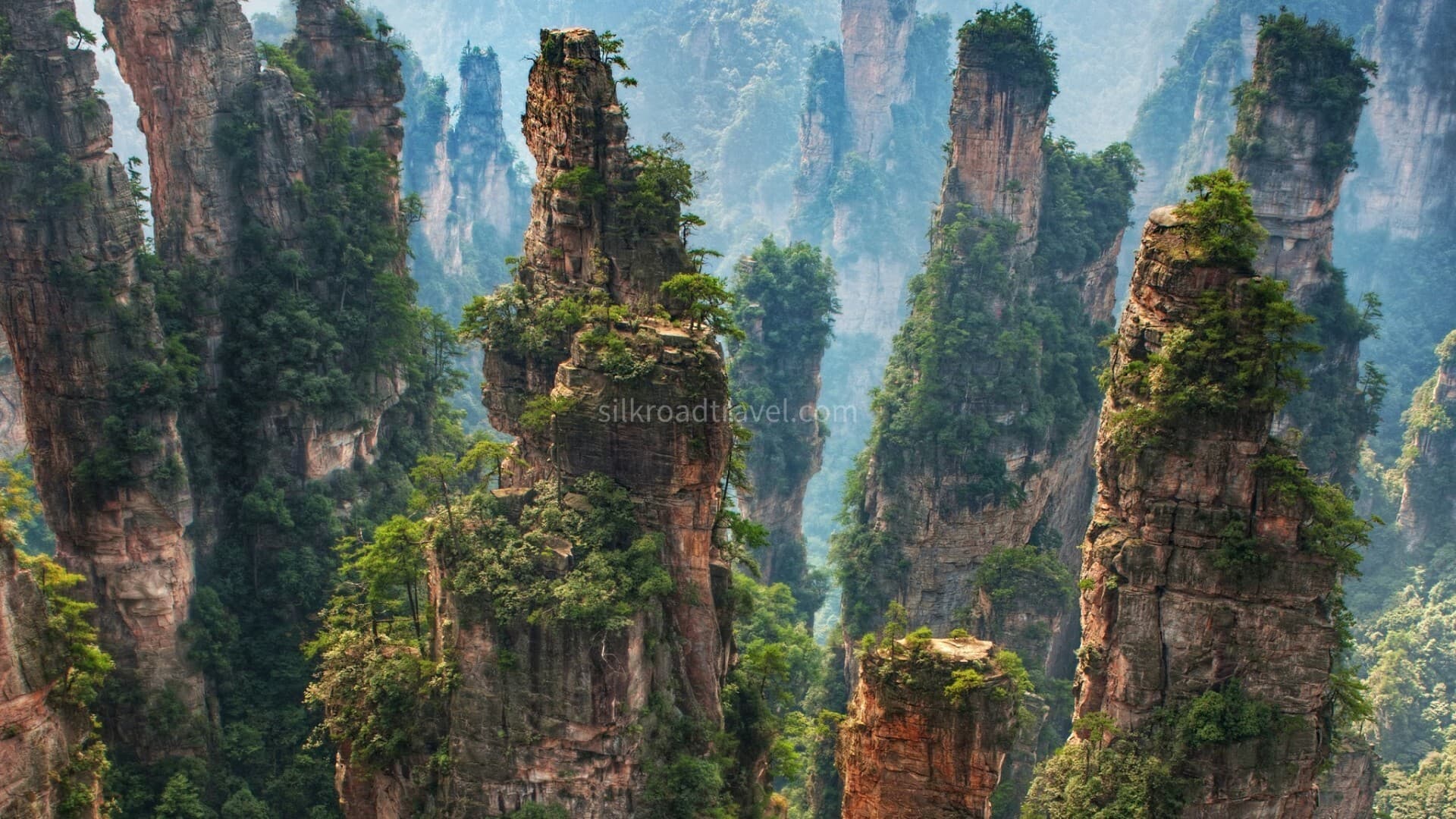 tianzi-mountain tianzi-mountain