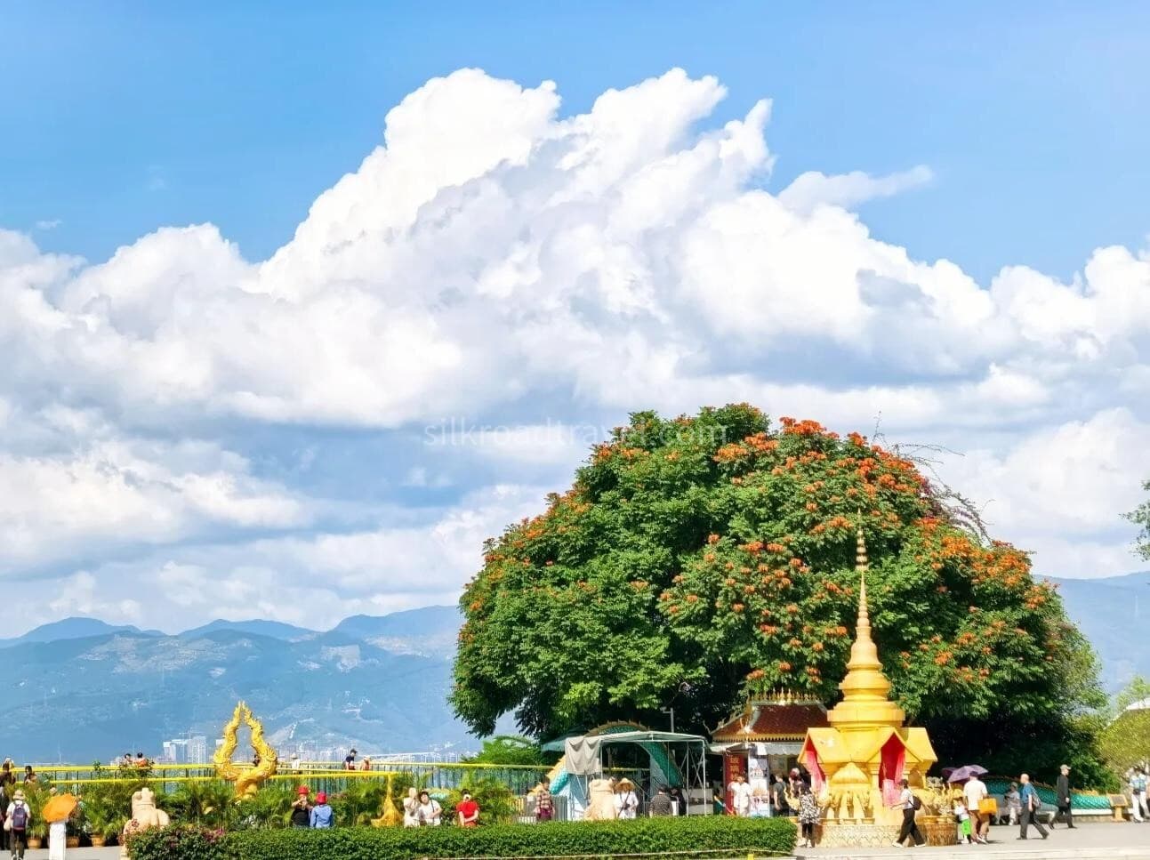 mengle-great-buddhist-monastery mengle-great-buddhist-monastery