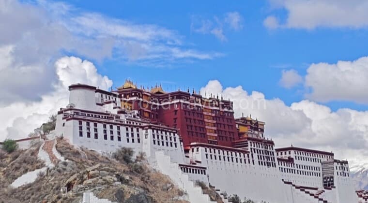 lhasa lhasa