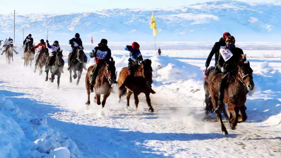 horse-racing.jpg