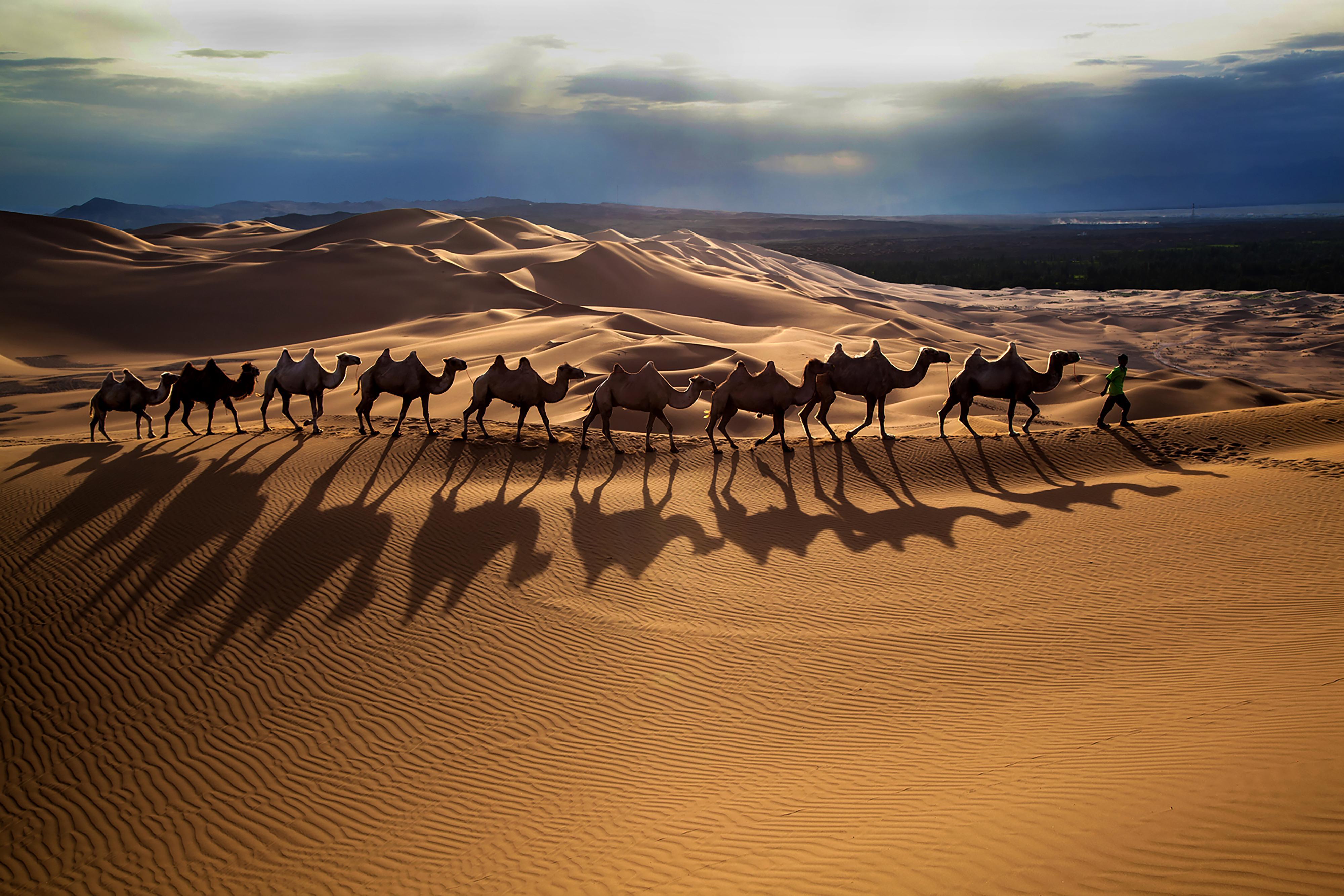 silk-road-tour.jpeg