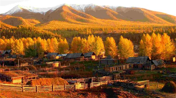 silk-road-tour.jpg