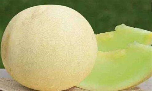 bailan-melon-lanzhou.jpg