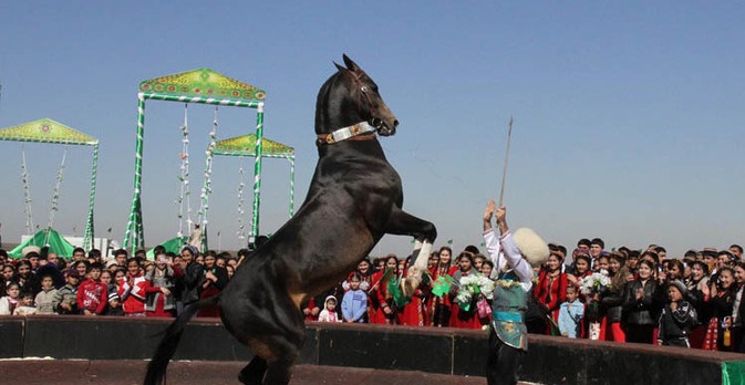 Akhalteke horses .jpg
