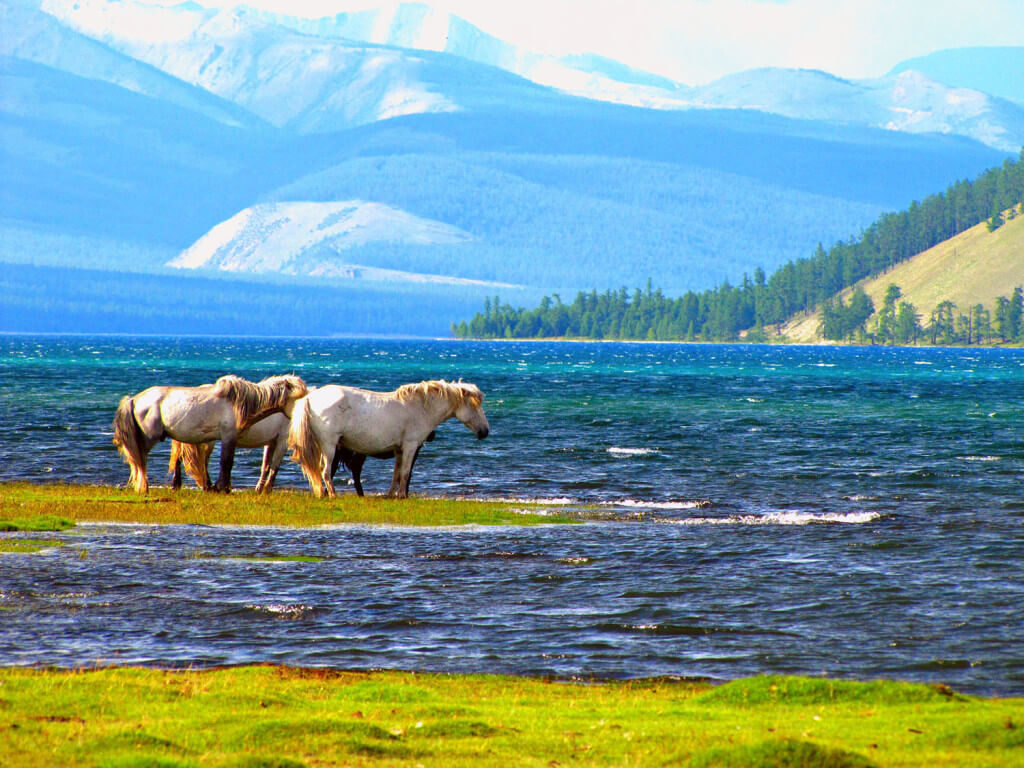 Mongolia's natural beauty.jpg